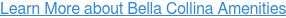 Learn More about Bella Collina Amenities